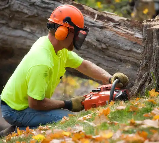 tree services Ponca